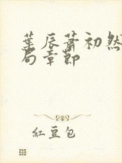 叶辰萧初然大结局章节封面