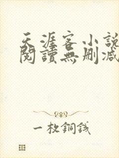 天涯客小说全文阅读无删减