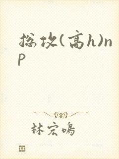 总攻(高h)np