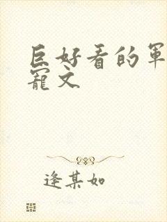 巨好看的军旅甜宠文封面