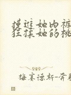 摸进她内裤里疯狂揉她的桃子小说