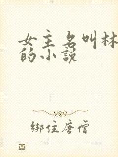 女主名叫林芊芊的小说