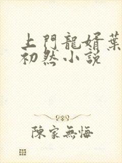上门龙婿叶晨萧初然小说