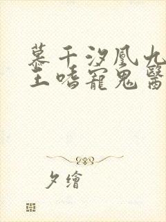 慕千汐凰九夜邪王嗜宠鬼医狂妃免费阅读