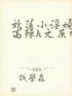 放荡小淫妇h文高辣h文原神