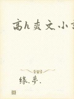 高h爽文小说封面
