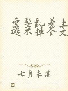 云鬓乱惹上权臣逃不掉全文版封面