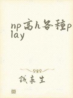 np高h各种play