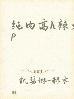 纯肉高h辣文np