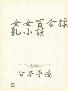 女女百合揉捏双乳小说