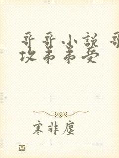 哥哥小说 哥哥攻弟弟受封面