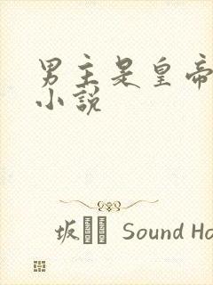 男主是皇帝的h小说