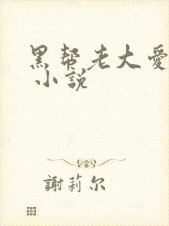 黑帮老大爱上我 小说