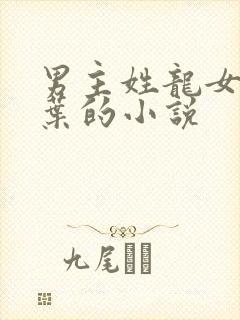 男主姓龙女主姓叶的小说