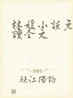 林媛小说免费阅读全文封面