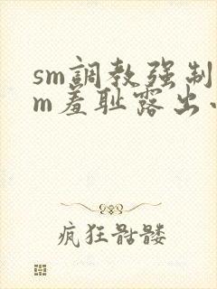 sm调教强制女m羞耻露出小说封面