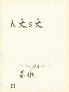 h文s文