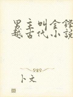 男主叫金锋的穿越古代小说