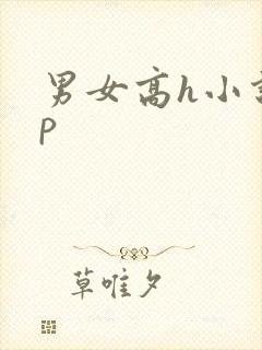 男女高h小说np