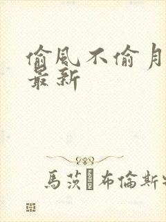 偷风不偷月小说最新