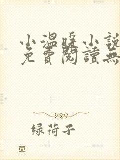 小温暖小说全文免费阅读无弹窗