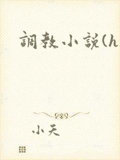 调教小说(h)