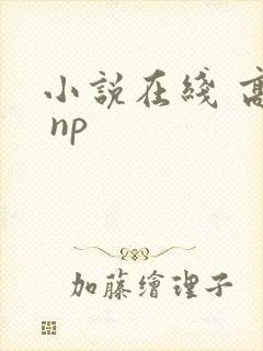 小说在线 高h np