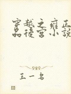 穿越之雍正的极品后宫小说