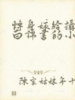 转身嫁给摄政王白锦书的小说