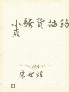 小骚货插的爽不爽