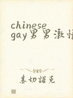 chinesegay男男激情
