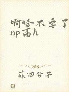 啊哈不要了男男np高h