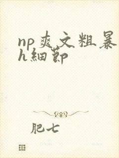 np爽文粗暴高h细节