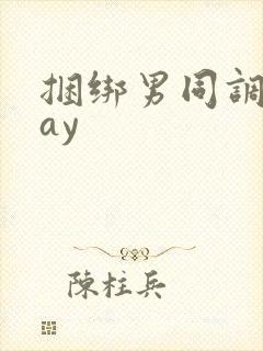 捆绑男同调教gay封面