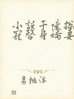 小说千亿总裁独宠替身娇妻小说