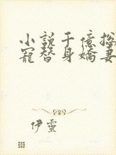 小说千亿总裁独宠替身娇妻完整版未删减小说