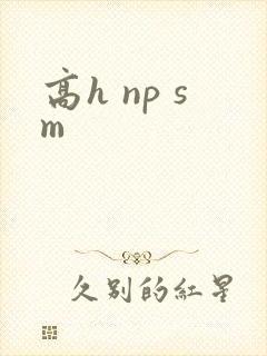 高h np sm