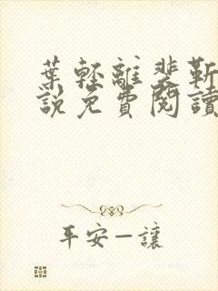 叶轻离裴靳墨小说免费阅读