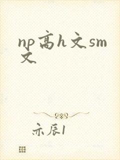 np高h文sm文封面
