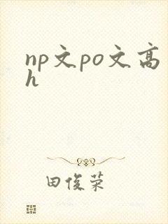 np文po文高h