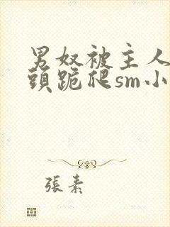 男奴被主人拽奶头跪爬sm小说