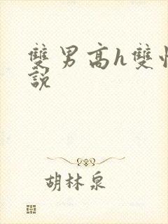 双男高h双性小说