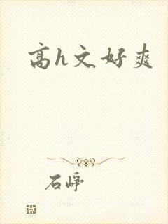高h文好爽