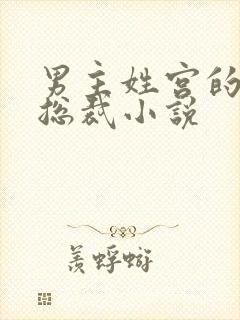 男主姓宫的现代总裁小说