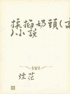 揉掐奶头(高h)小说