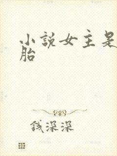 小说女主是双胞胎