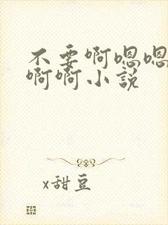 不要啊嗯嗯嗯啊啊啊小说
