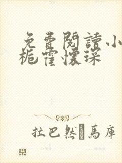 免费阅读小说夏栀霍怀琛