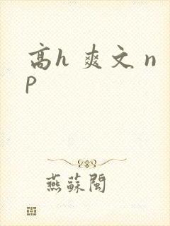 高h 爽文 np