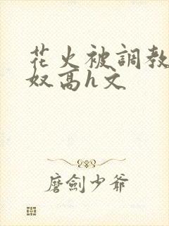 花火被调教成肉奴高h文